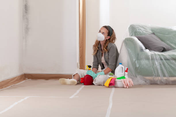 Reliable Basement Mold Removal contractor in Baroda, MI by WQB Mold Removal